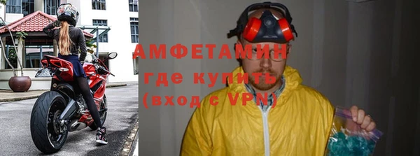 гидра Слюдянка