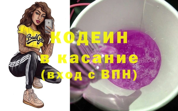 гидра Слюдянка