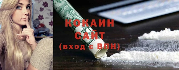 гидра Слюдянка