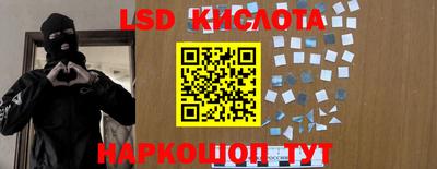 стаф Заводоуковск
