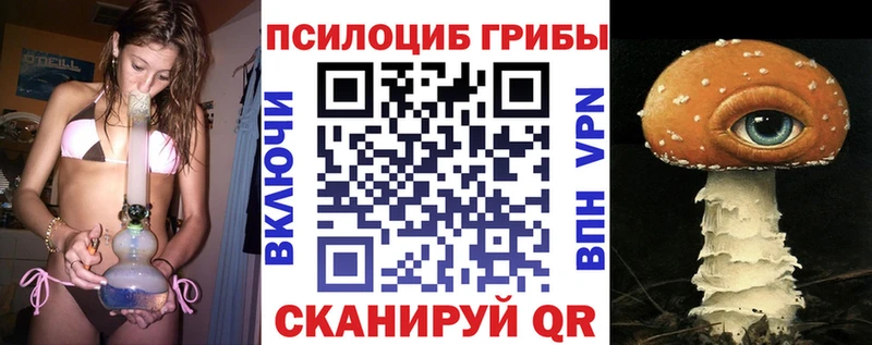 Псилоцибиновые грибы Cubensis  Углич 